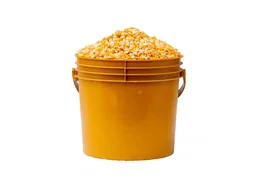 Yellow Corn