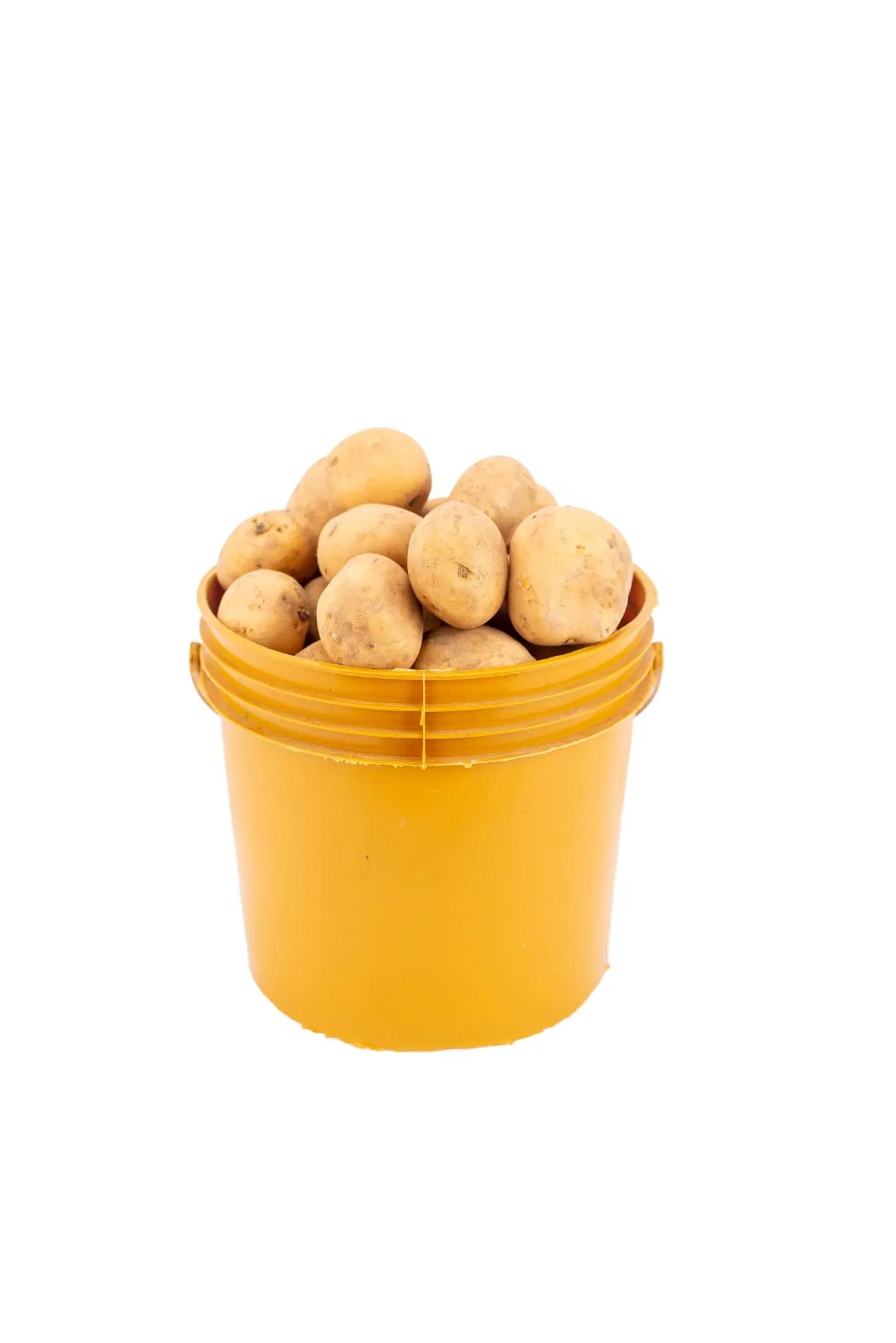 Irish Potato_1