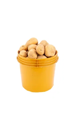 Irish Potato