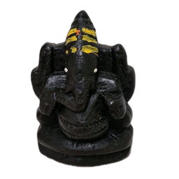 GMS Siddha Sree Saatu Sanjivini Ganapathy