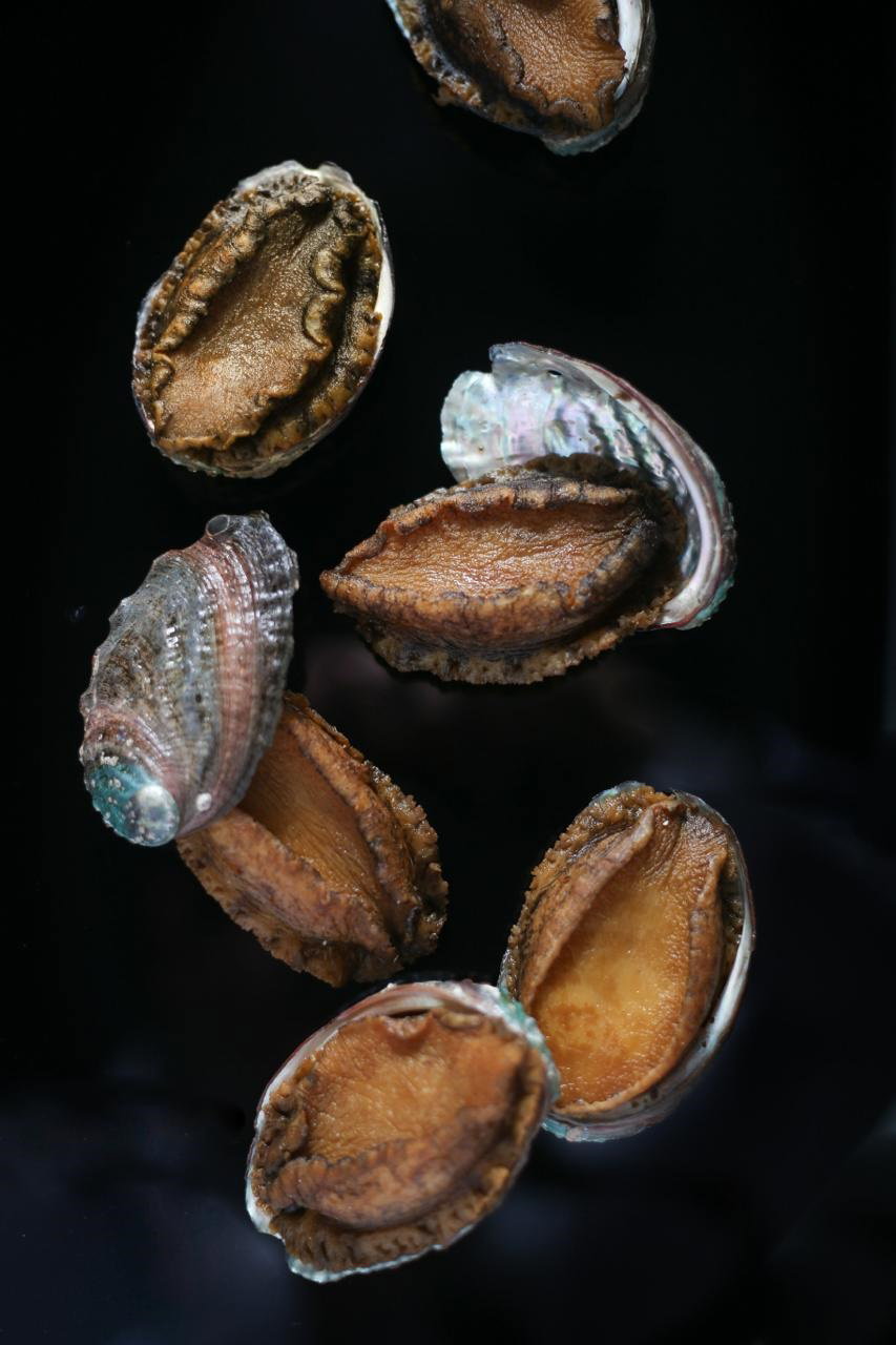 Abalone Sake Ezo Awabi - 15 Pcs/Pkt - 225g