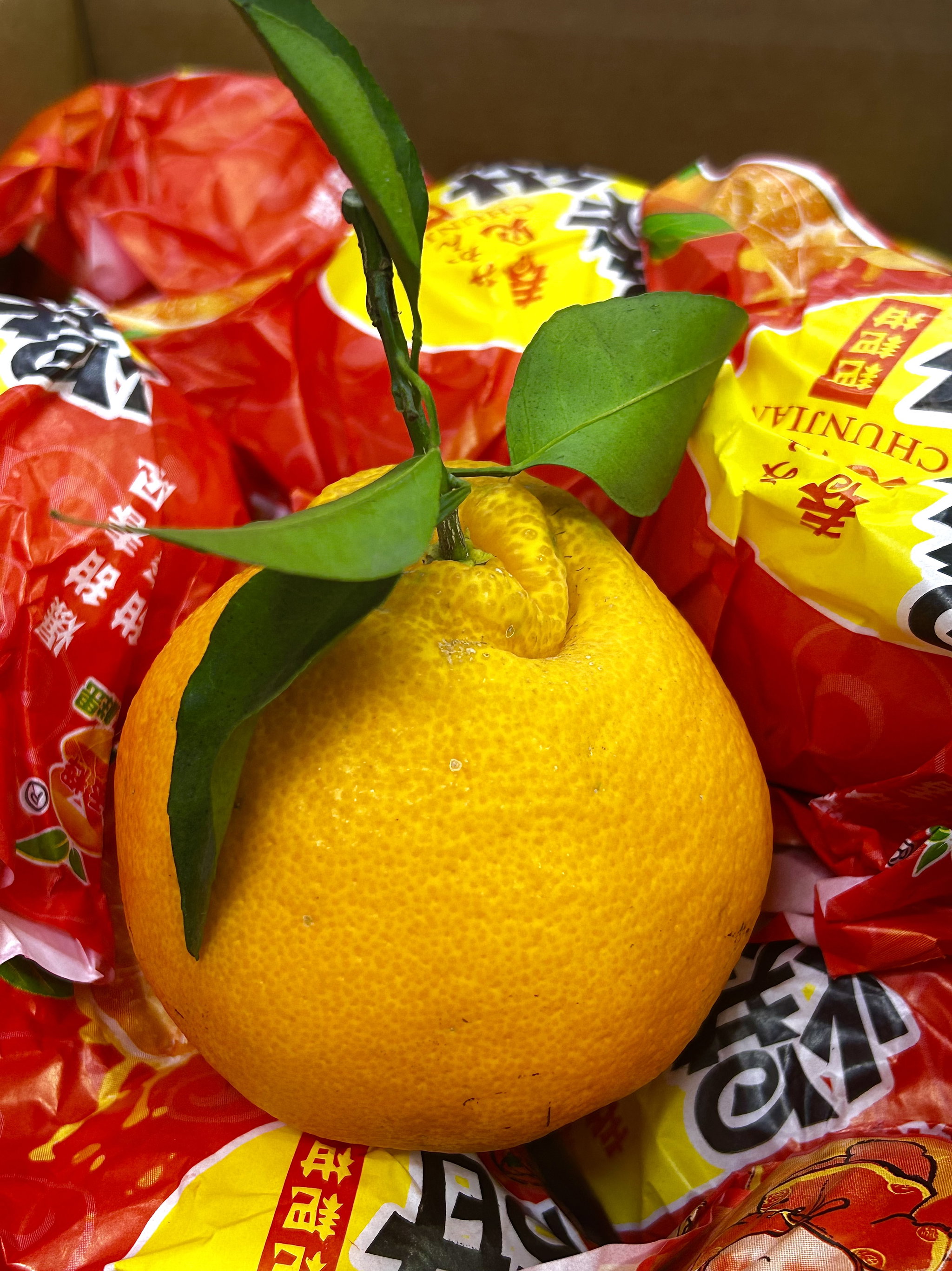 1 BOX CN BABA Mandarin 14s_1
