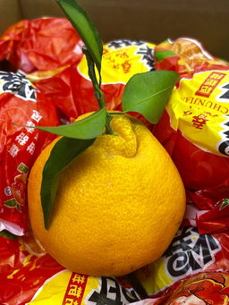 1 BOX CN BABA Mandarin 14s