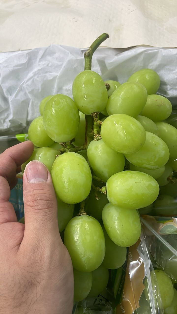 1KG PERU Autumn Crisp XL_0
