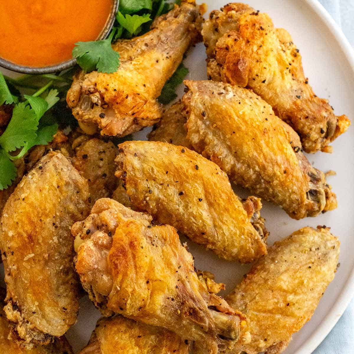 Regular Wings_0