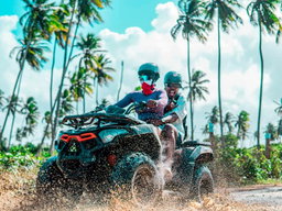 ATVS/Buggy