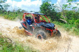 ATVs/Buggy