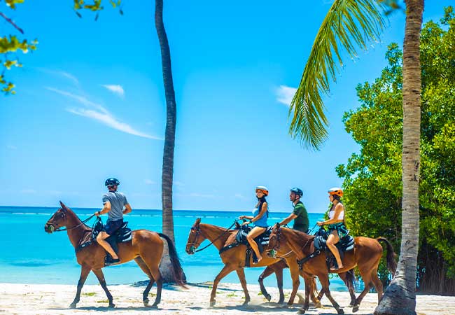 Horseback riding 