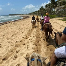 Horseback riding 