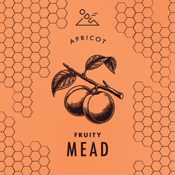 Fruity MEAD - Apricot | ABV 9.2%