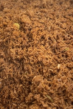 Extra rice