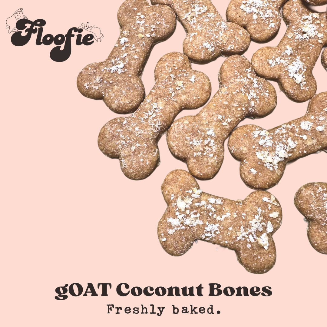gOAT Coconut Bones For Cats & Dogs
