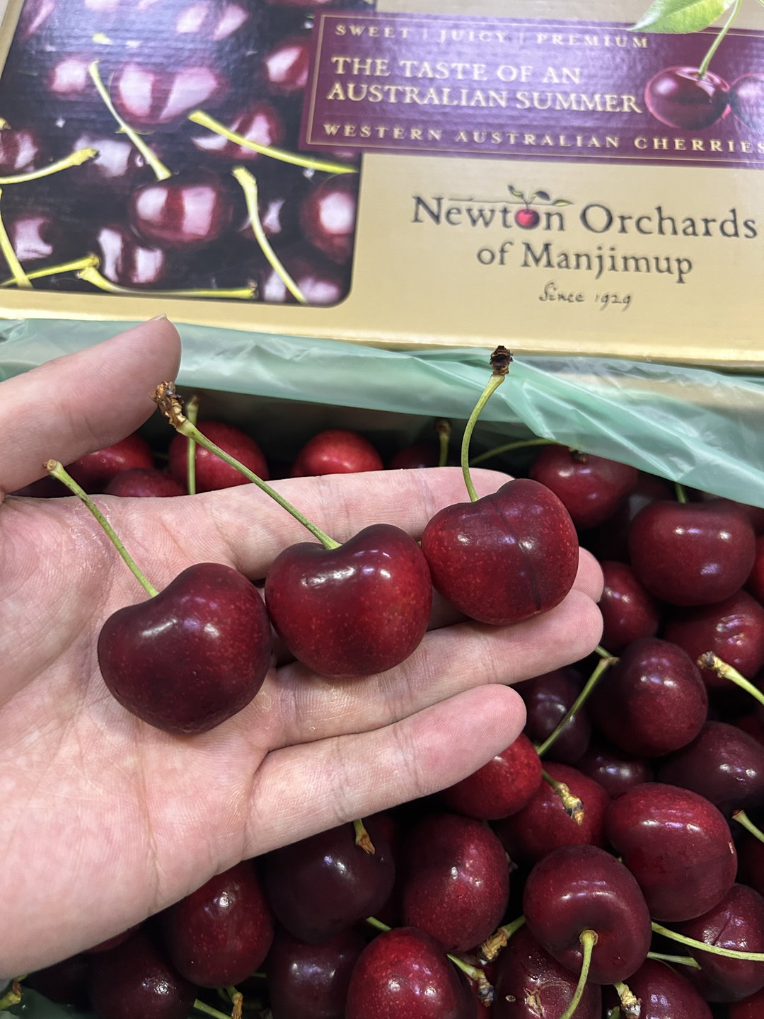 250G Australia Manjimup Premium Lapin Cherry 32mm