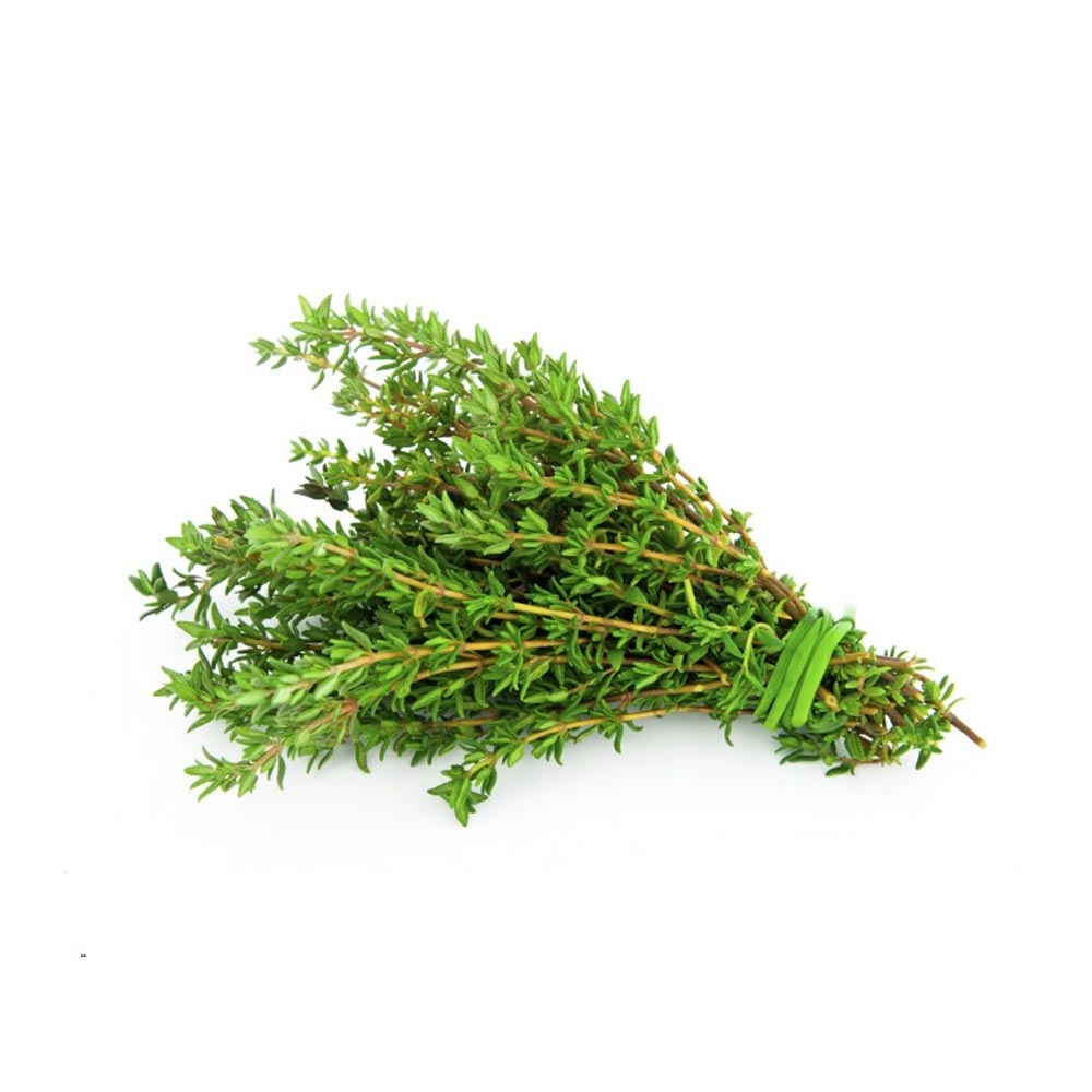 Thyme_0