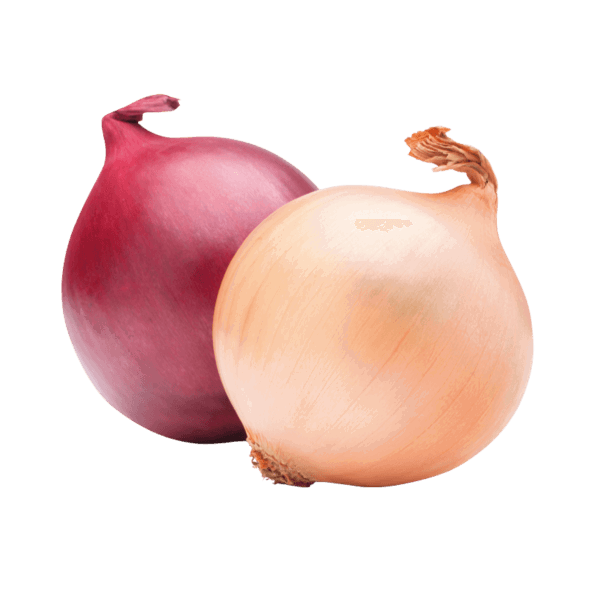 Onion