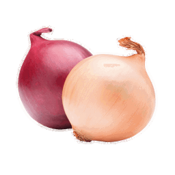 Onion