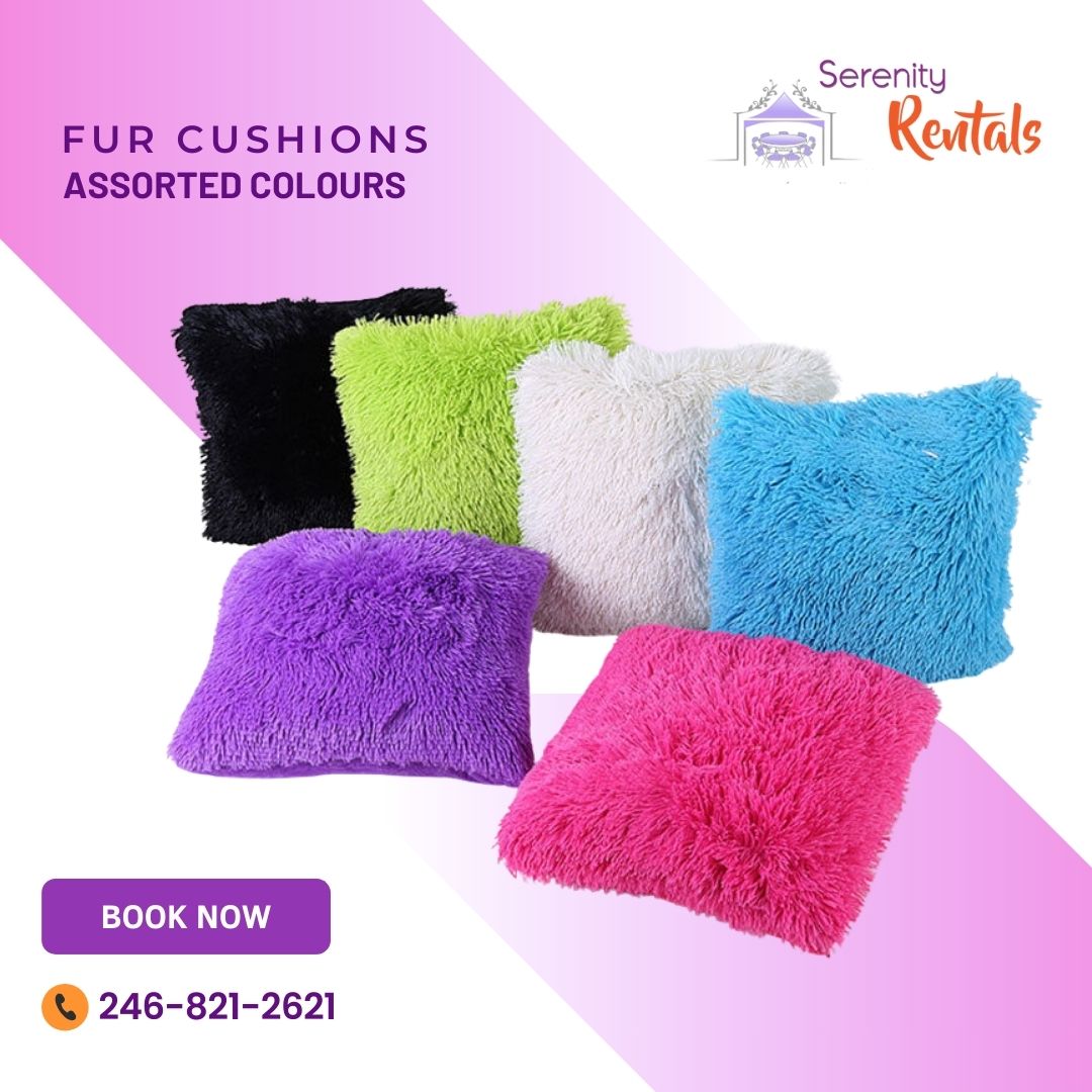 Fur Cushion