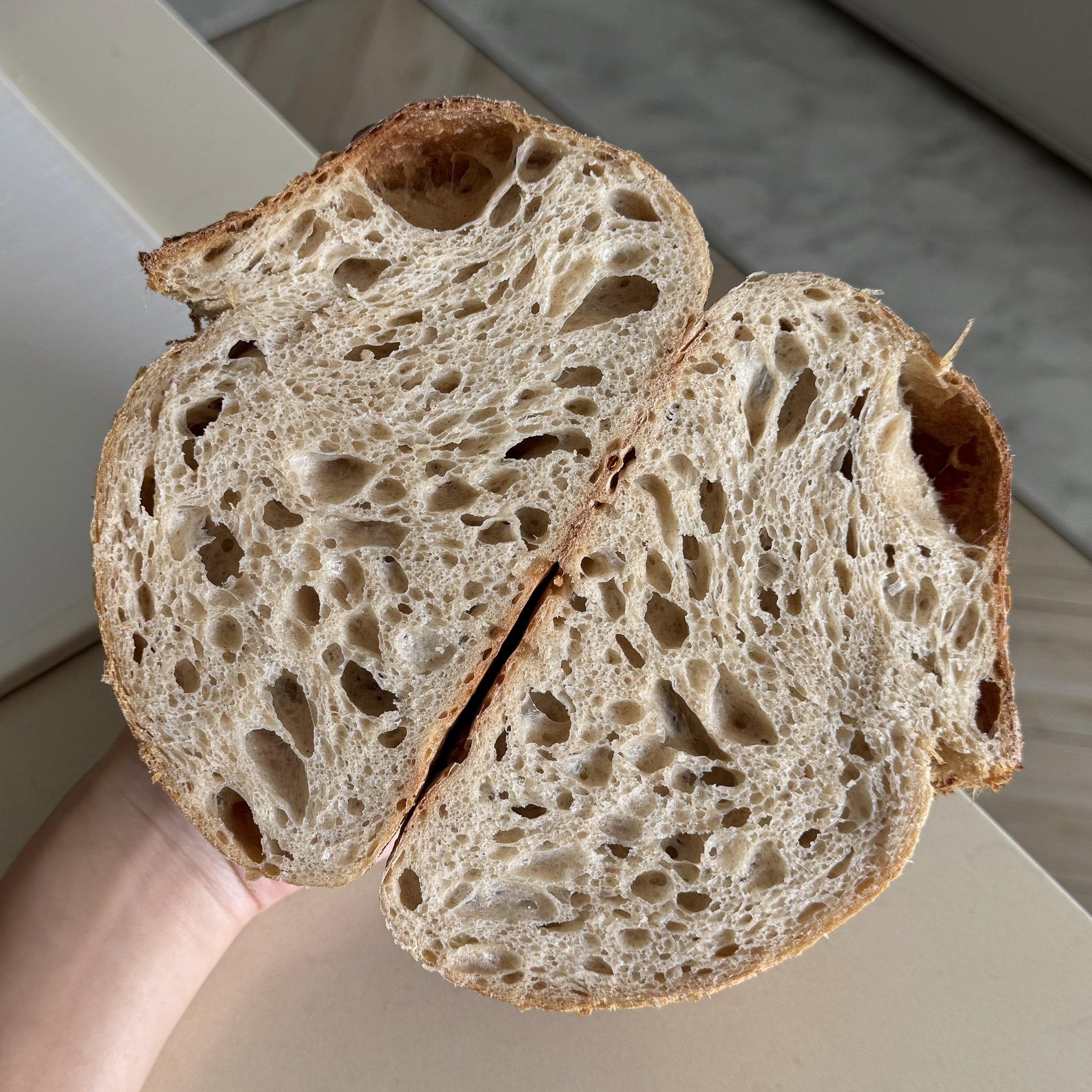 Classic Sourdough Loaf_1