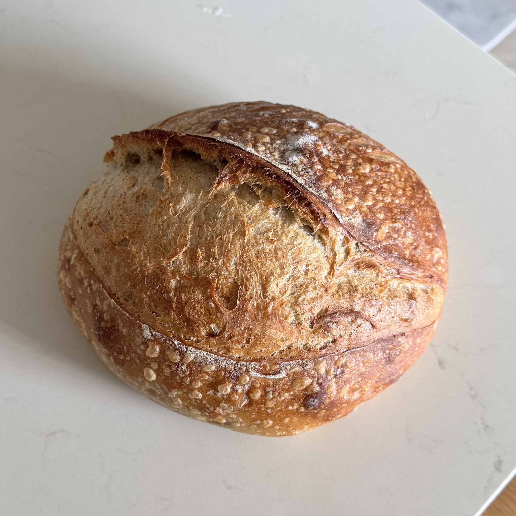 Rye Sourdough Loaf_0