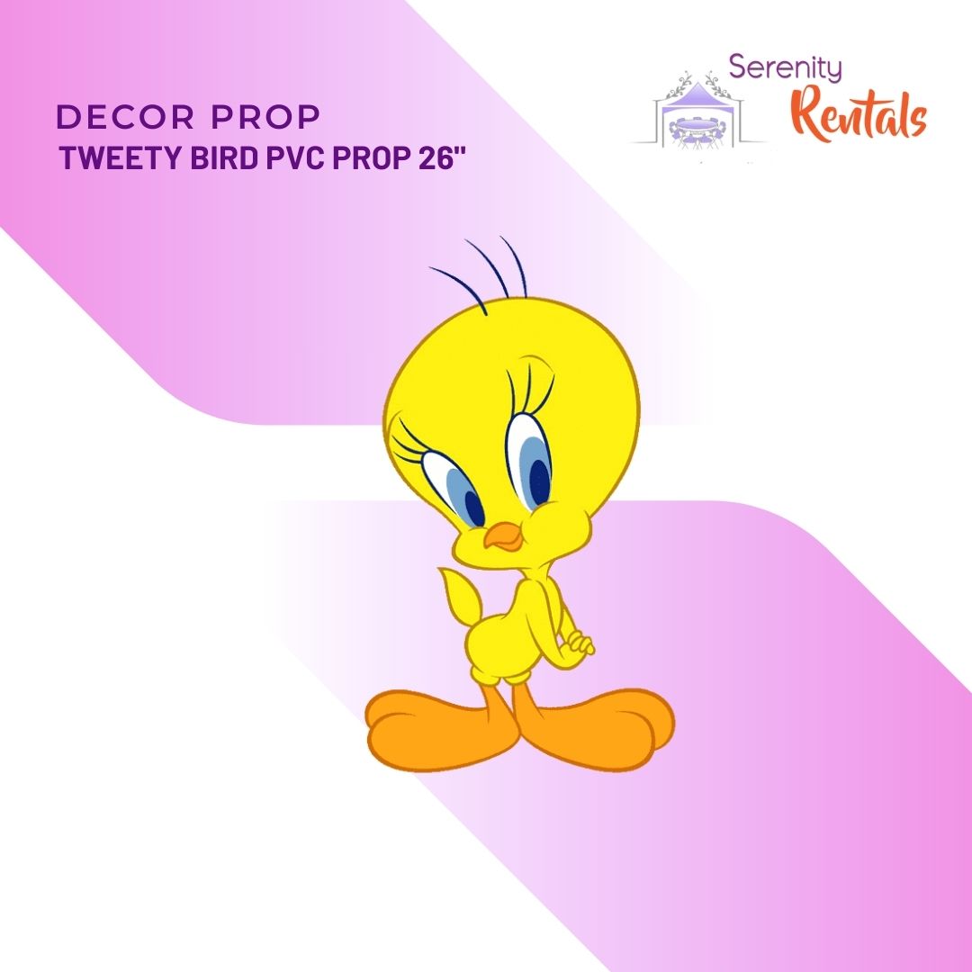 Baby Looney Tunes Props_3