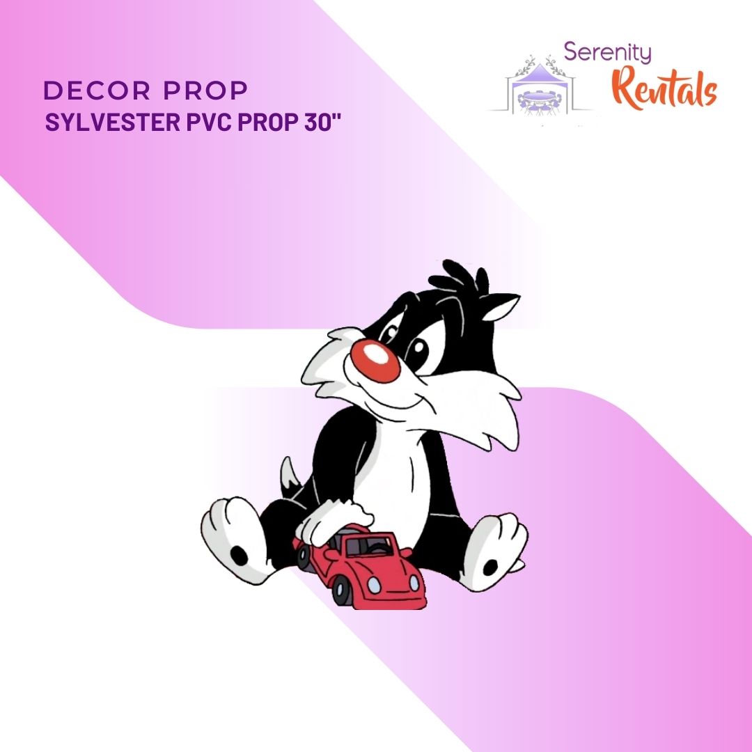 Baby Looney Tunes Props_6
