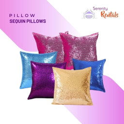 Sequin Cushions