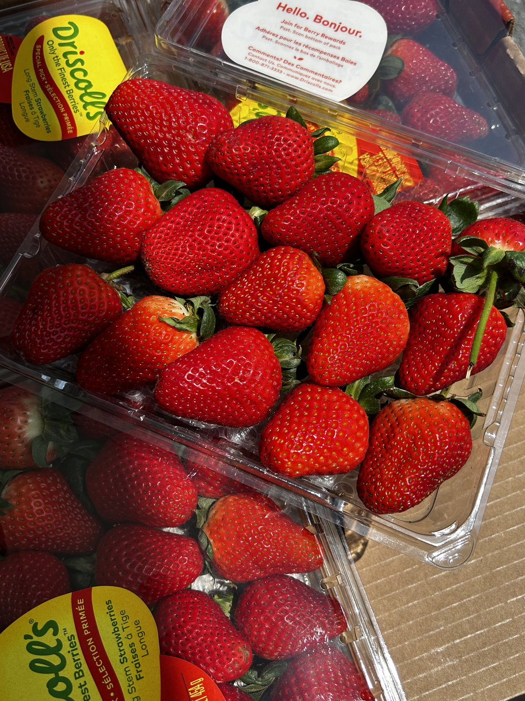 600G USA Driscoll Long Stem Jumbo Strawberry