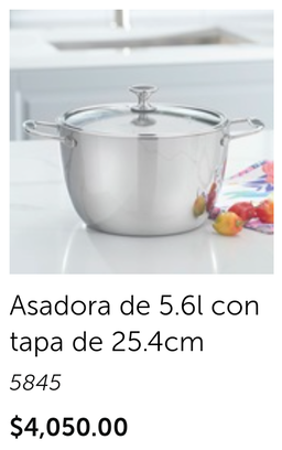 Asadora de 5.6 l con tapa de 25.4cm