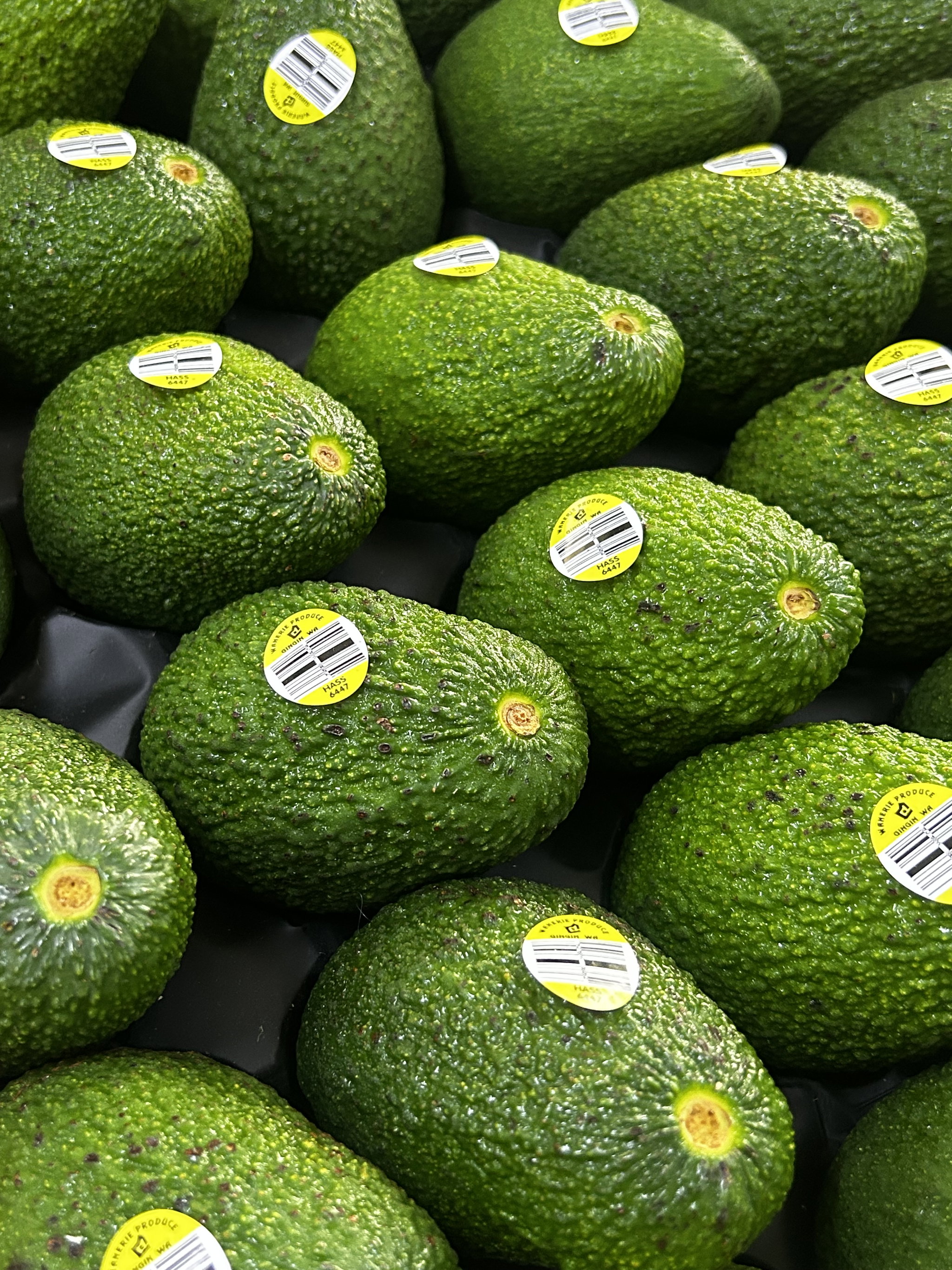 3 x Australia Hass Avocado _0