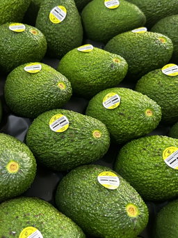 3 x Australia Hass Avocado 