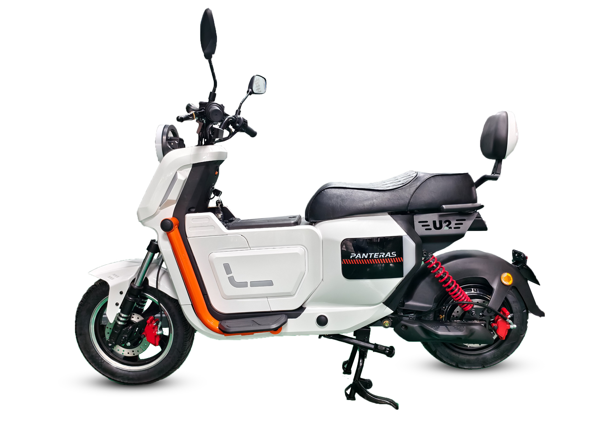 Panteras YC 09_1
