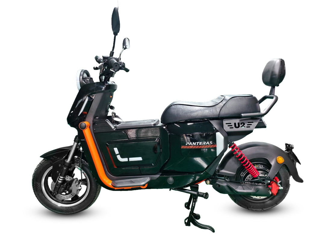 Panteras YC 09