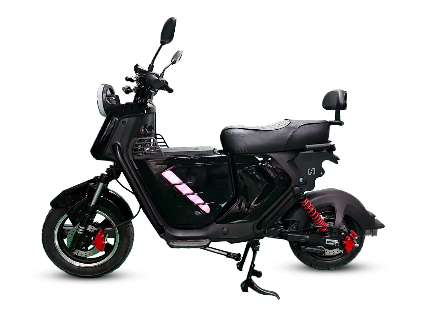 Panteras YC 08_0