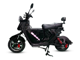 Panteras YC 08