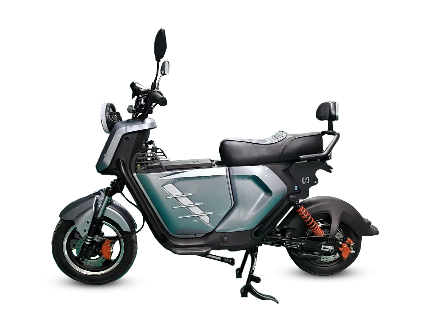 Panteras YC 08_1