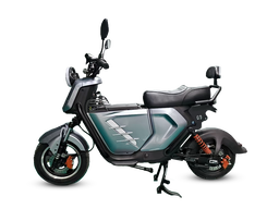 Panteras YC 08