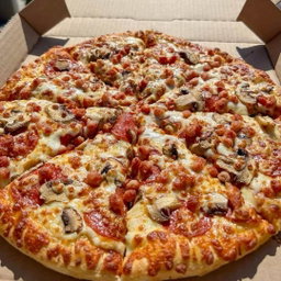 MUSHROOM PIZZA