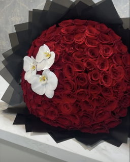 Deluxe Red