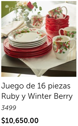 Juego de 16 piezas Ruby y winter berry