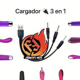 Cargador 3 en 1 
