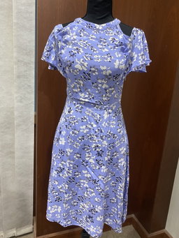 Ladies Dress