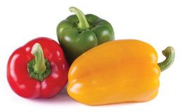 Sweet Pepper 