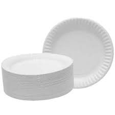 1551 PAPER PLATE SMALL _1