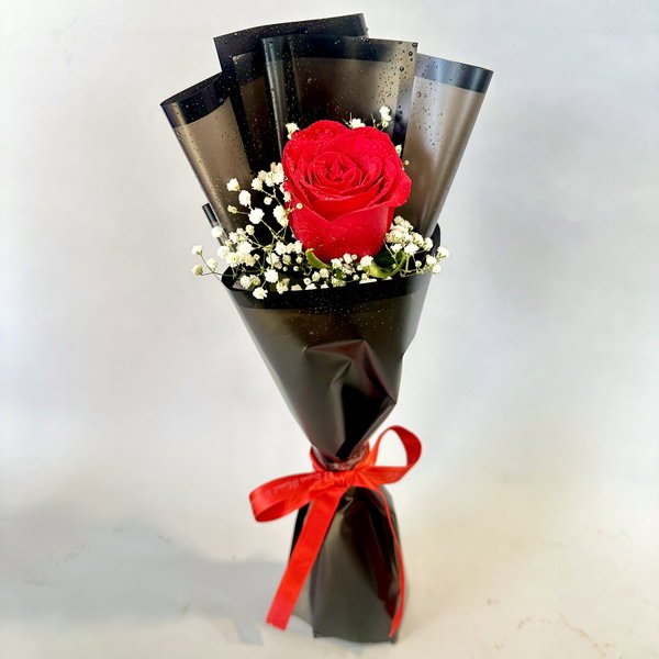 Romance Rose