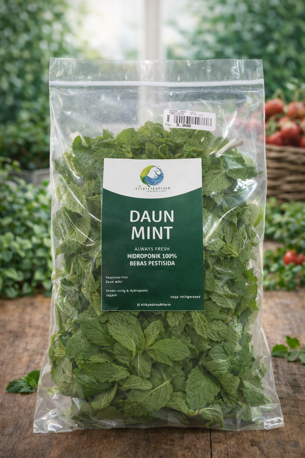 Daun mint_0