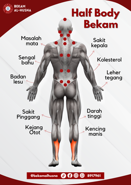 Bekam Half Body