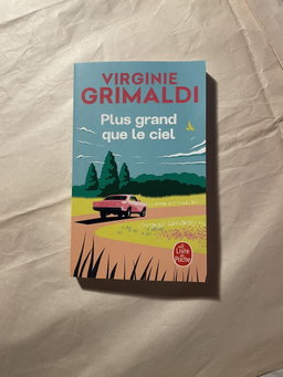 Plus grand que le ciel de Virginie Grimaldi
