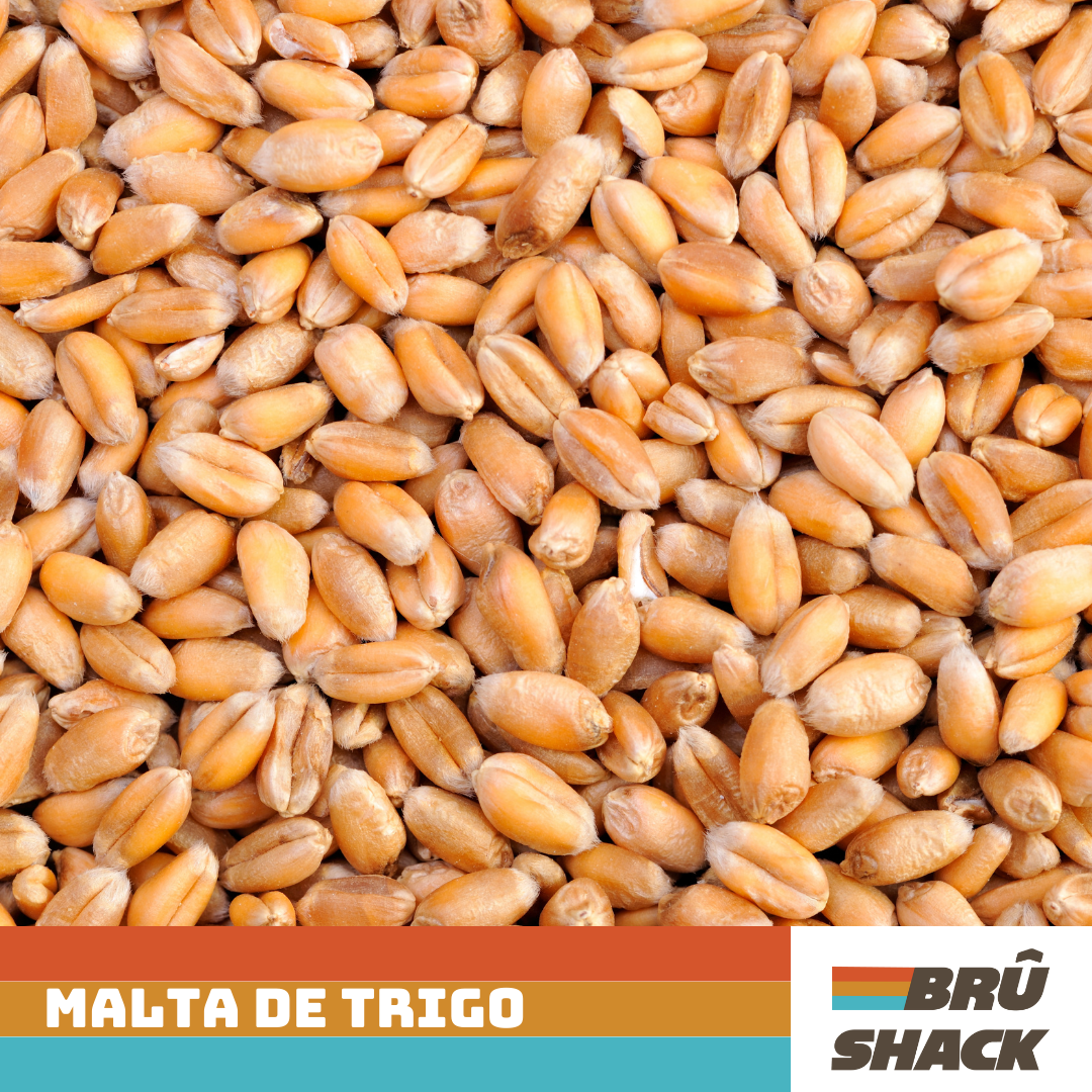 Malta de Trigo_0