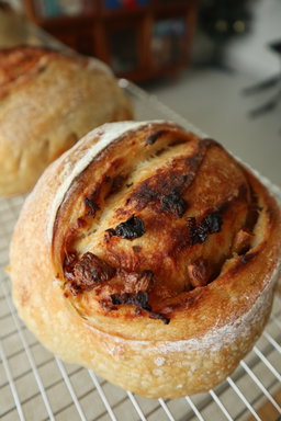 Sundried Tomatoes + Garlic Sourdough