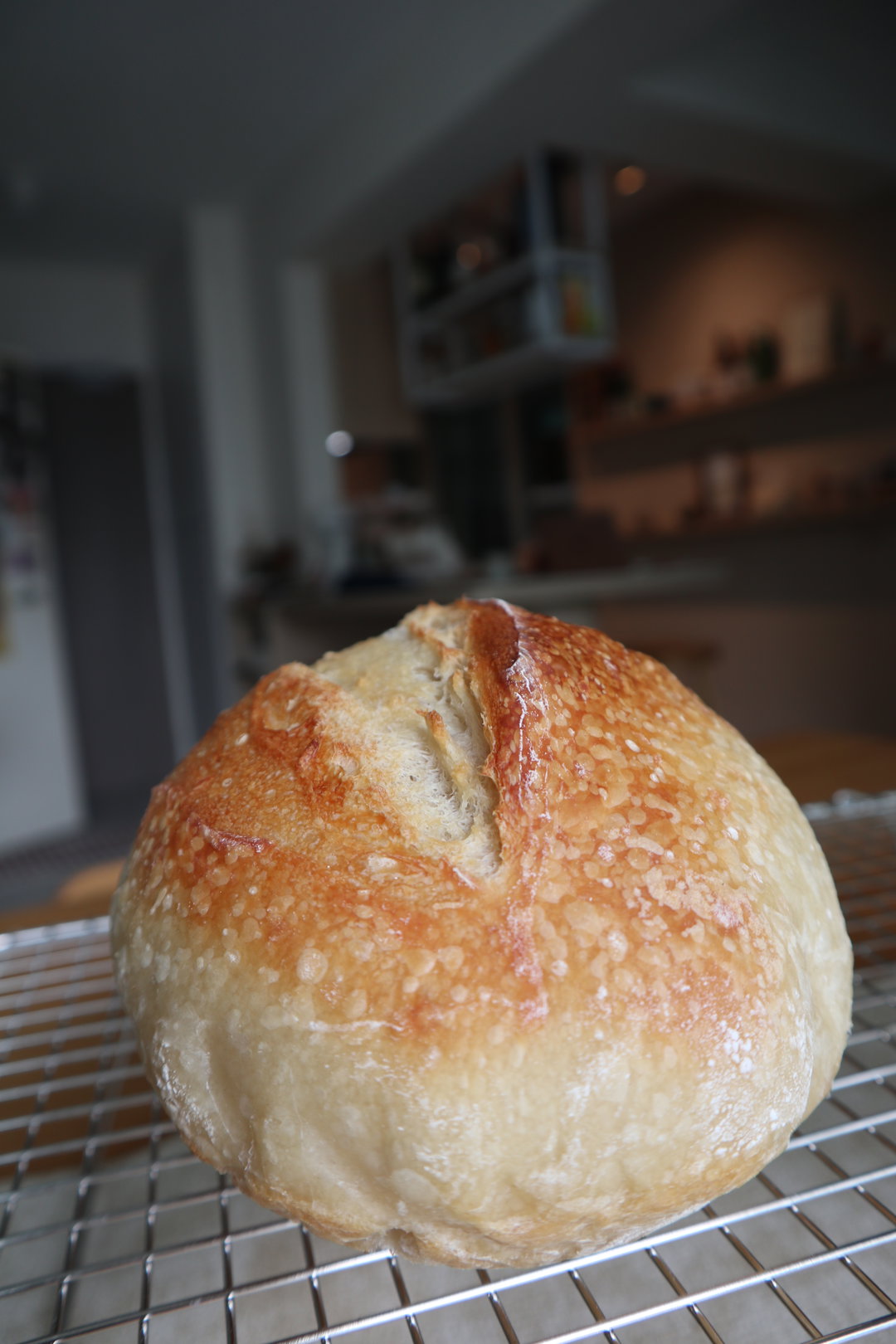 Plain Sourdough